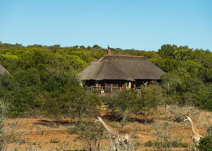 Pumba Private Game Reserve
