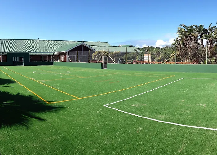 Ping Pong Hotel: Pine Lodge Resort